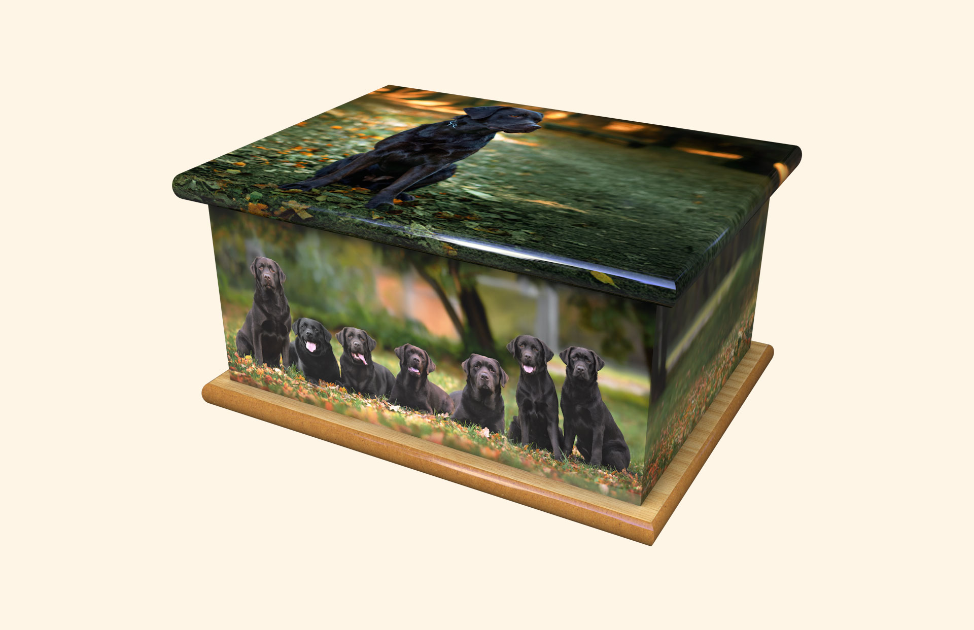 Mischievous adult ashes casket